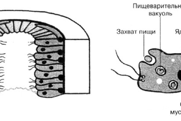 Кракен at сегодня работает ли