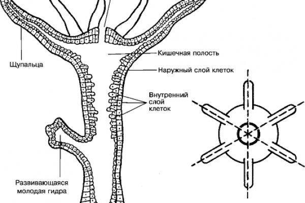 Kra32.at