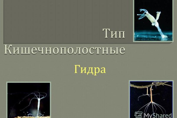 Восстановить доступ к кракену